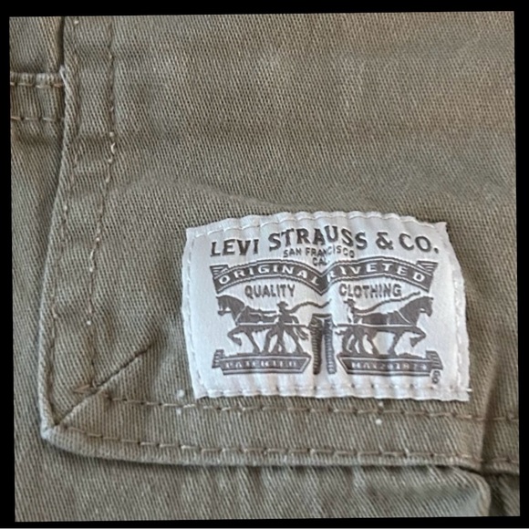 Levi Cargo /Champion Hoodie /Sonoma Top Bundle - Picture 3 of 11